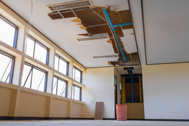 Best Water damage contractors near me  in Fulshear, TX