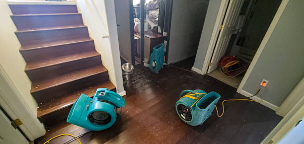 Best Water damage contractors near me  in Fulshear, TX