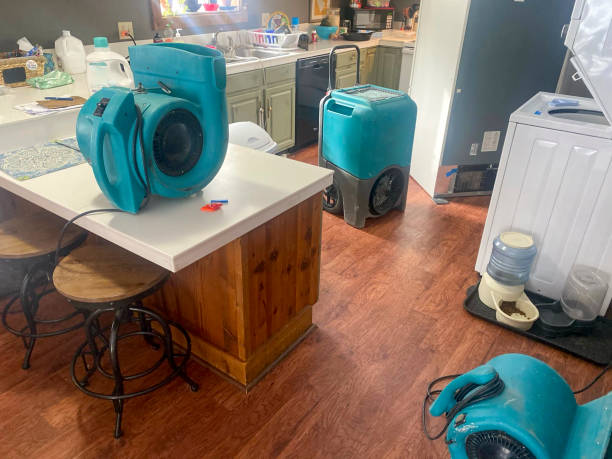 Best Ceiling water damage repair  in Fulshear, TX
