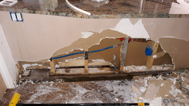 Best Flood damage cleanup  in Fulshear, TX