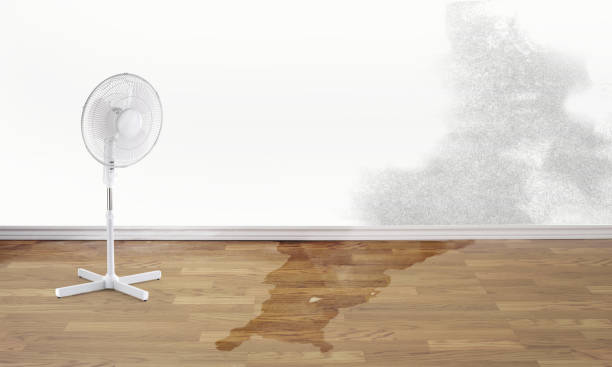 Best Carpet water damage restoration  in Fulshear, TX