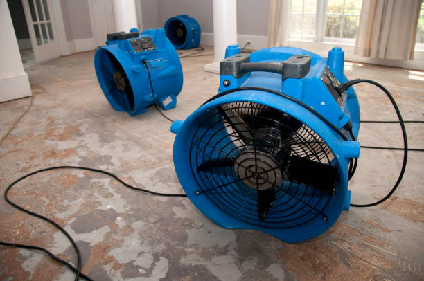 Best Basement water damage restoration  in Fulshear, TX