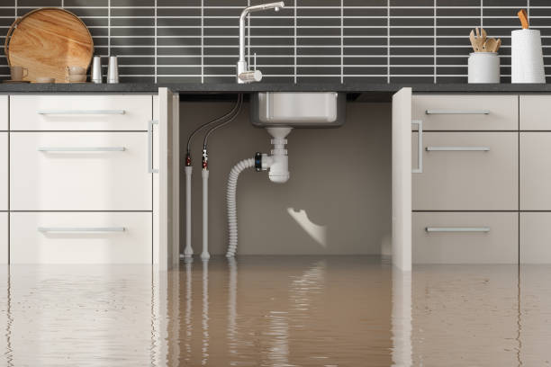  Fulshear, TX Water damage restoration Pros
